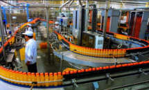 ʳƷ����y�T��Q����