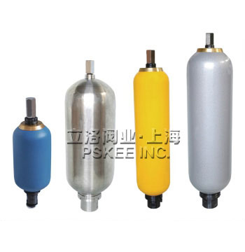 Ƥ��ʽ������