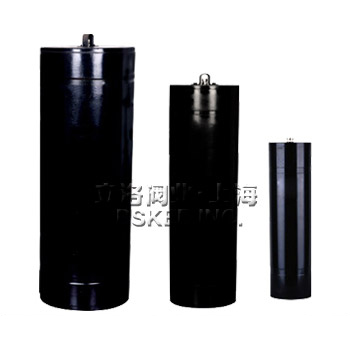 ����ʽ������