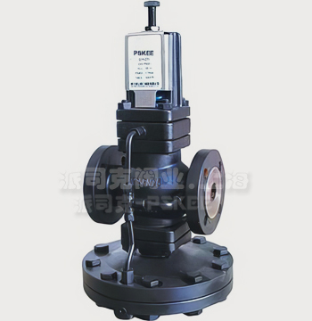 �����p���y