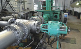 �y�T����