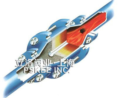 ������Ĺ���ԭ��D