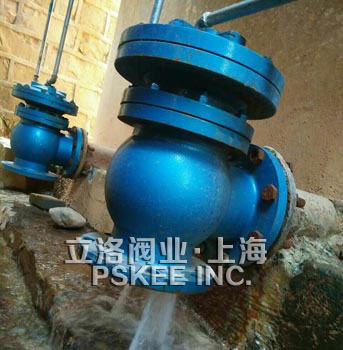 �����y���ԁ�ˮ�S�еđ�(y��ng)��