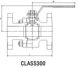 ���������y�ߴ�D1