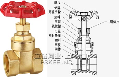 �~�l�y�Y���D