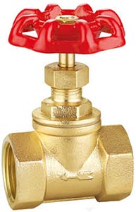 �S�~��ֹ�y����D1