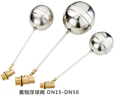 �S�~�����y