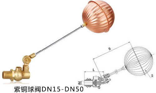 ���~�����y