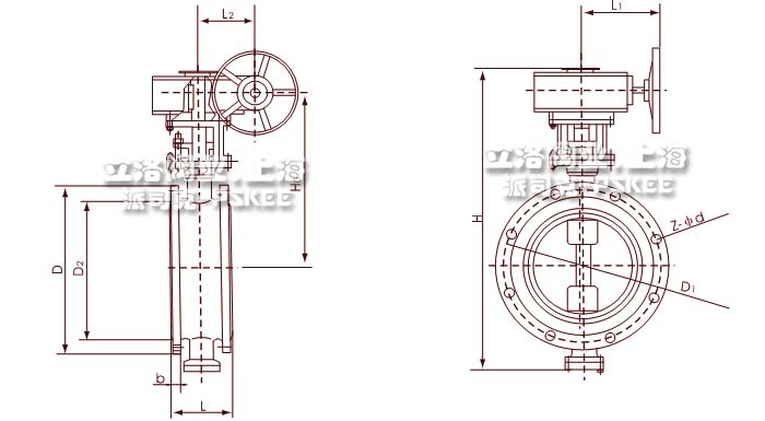 ���y���γߴ�D