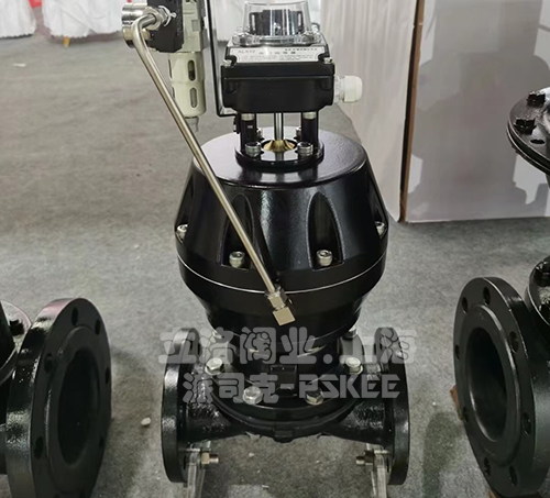 ��Ӹ�Ĥ�y�D