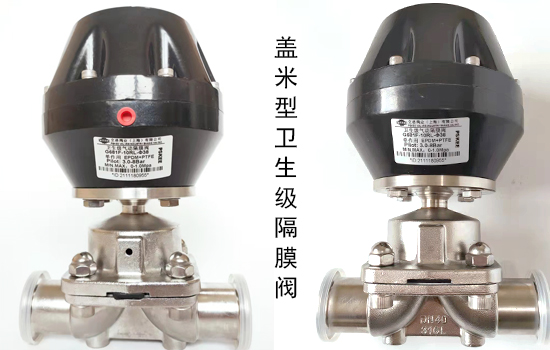 �w���͸�Ĥ�y�D