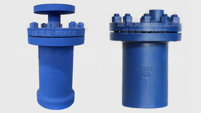 DT310����Ͱʽ��ˮ�y�DƬ