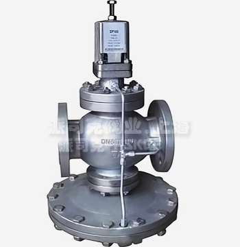 spiraxsarco�p���y�DƬ