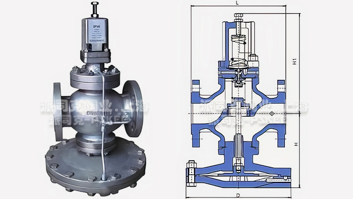 spiraxsarco�p���y�ߴ�D
