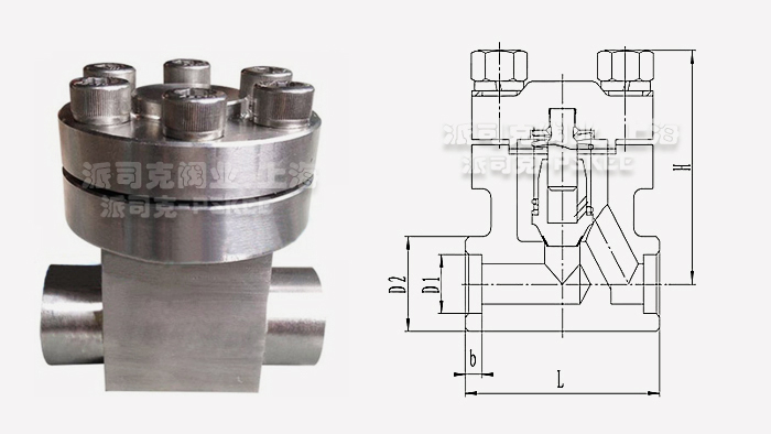 �͜ظ߉�ֹ���y�ߴ�D