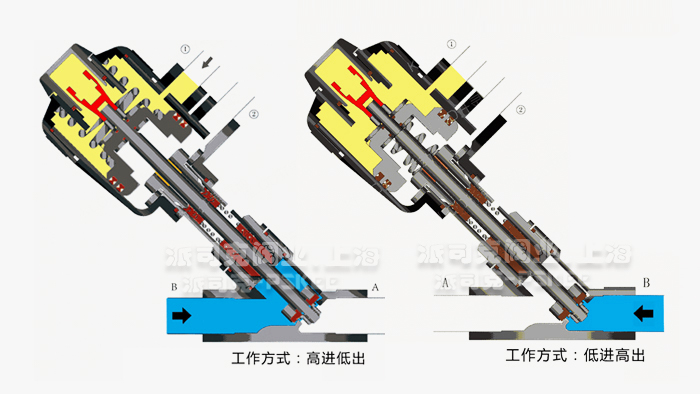 �����y����D