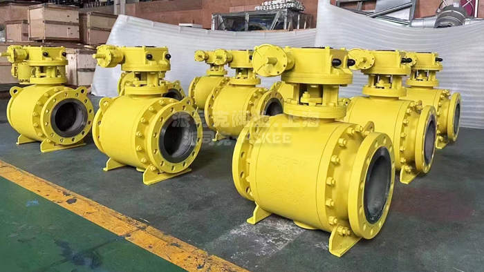 �̶����y�DƬ