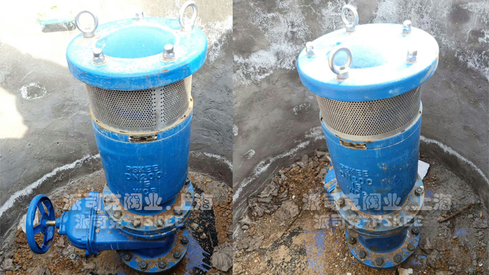 ��ˮ�N�՚��y