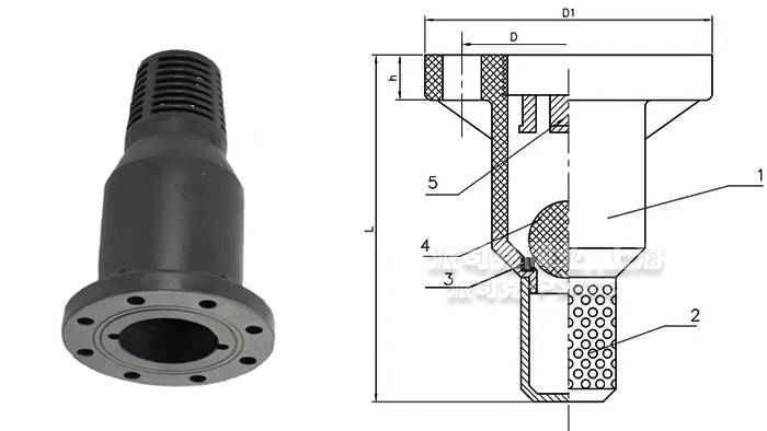 ��оˮ�����ϵ��y�ߴ�D