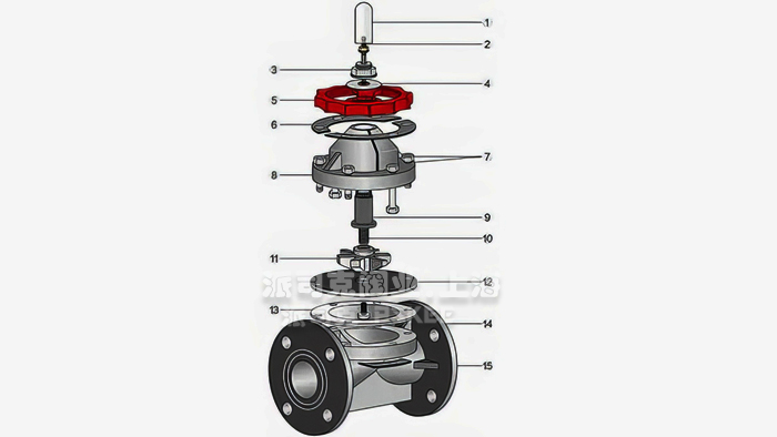 ���(d��ng)���ϸ�Ĥ�y�Y(ji��)��(g��u)�D